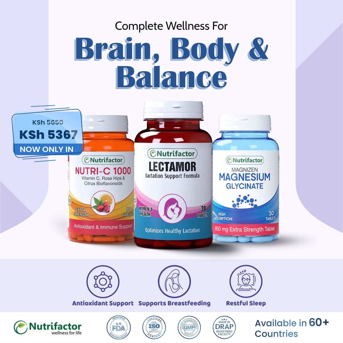 Complete Wellness for Brain, Body & Balance Bundle
